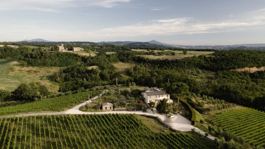madonna-del-latte_0006_3